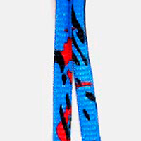 Slim Fish