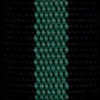 Black Green Line Belt