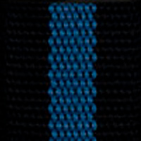 Black Blue Line Belt